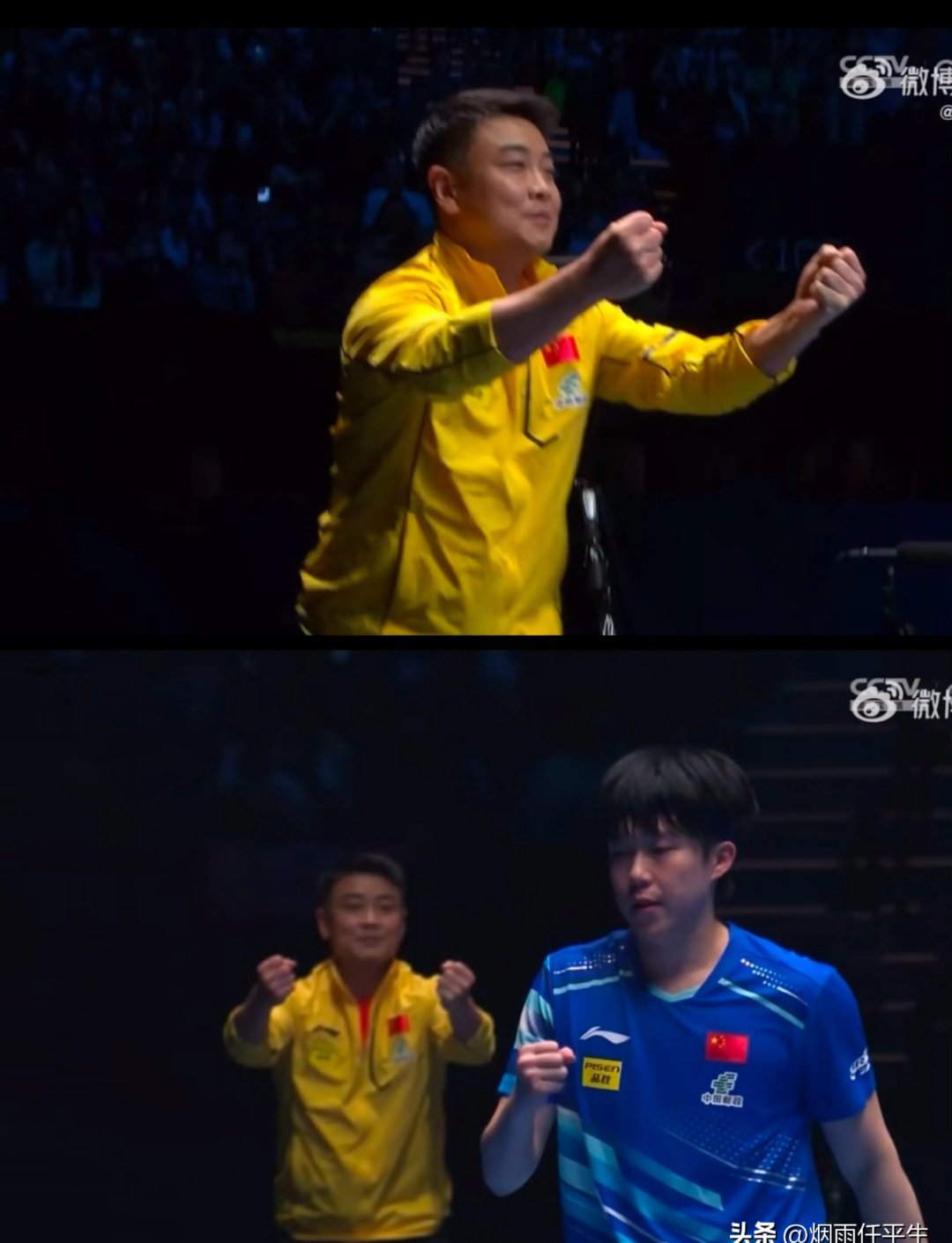 法国乒乓球队鏖战波兰乒乓球队，王皓一己之力扛起全队的简单介绍