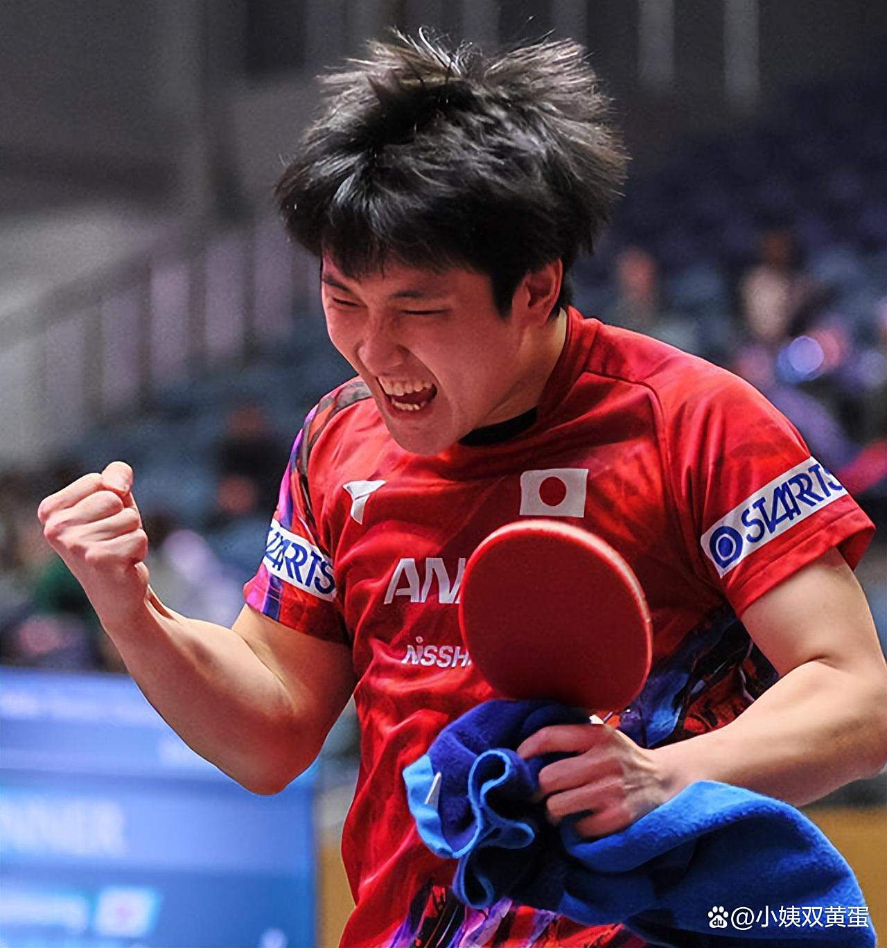 德国乒乓球队轻取韩国乒乓球队，张本智和打破历史纪录的简单介绍
