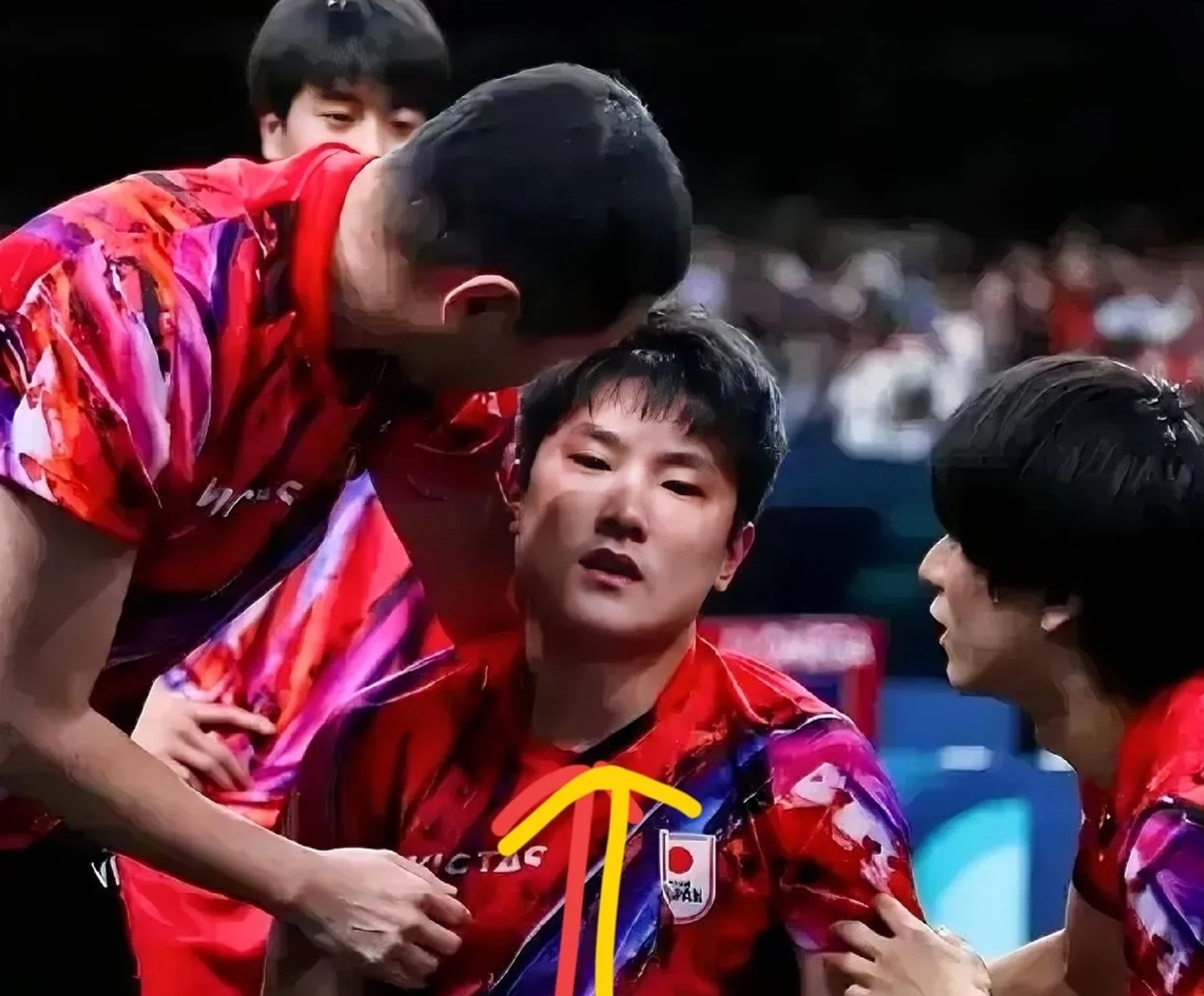 韩国乒乓球队横扫奥地利乒乓球队，张本智和爆发神勇的简单介绍