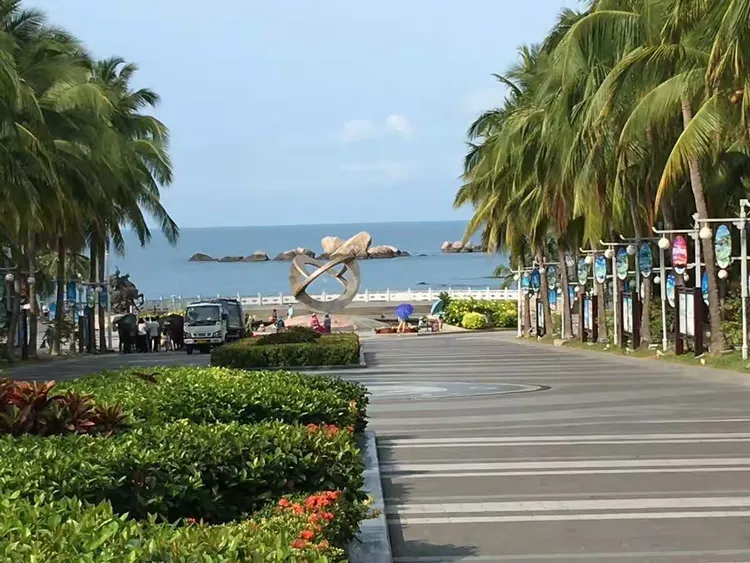 开云官网-包含三亚椰岛主场告捷，排名稳步上升的词条