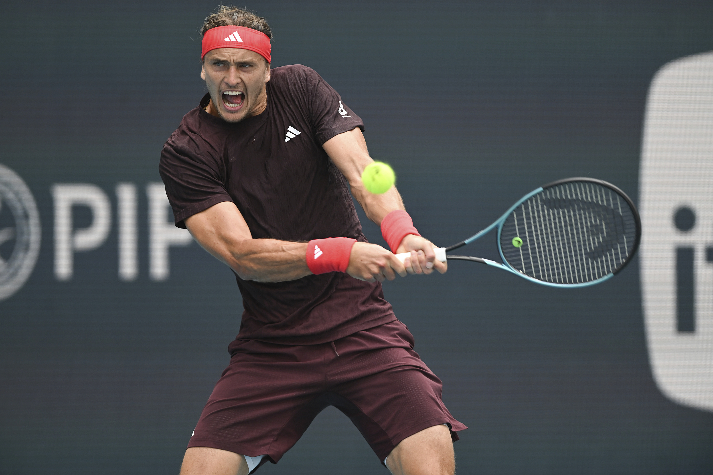 温网碾压ATP总决赛,兹维列夫惊艳四座的简单介绍 温网碾压ATP总决赛,兹维列夫惊艳四座的简单介绍