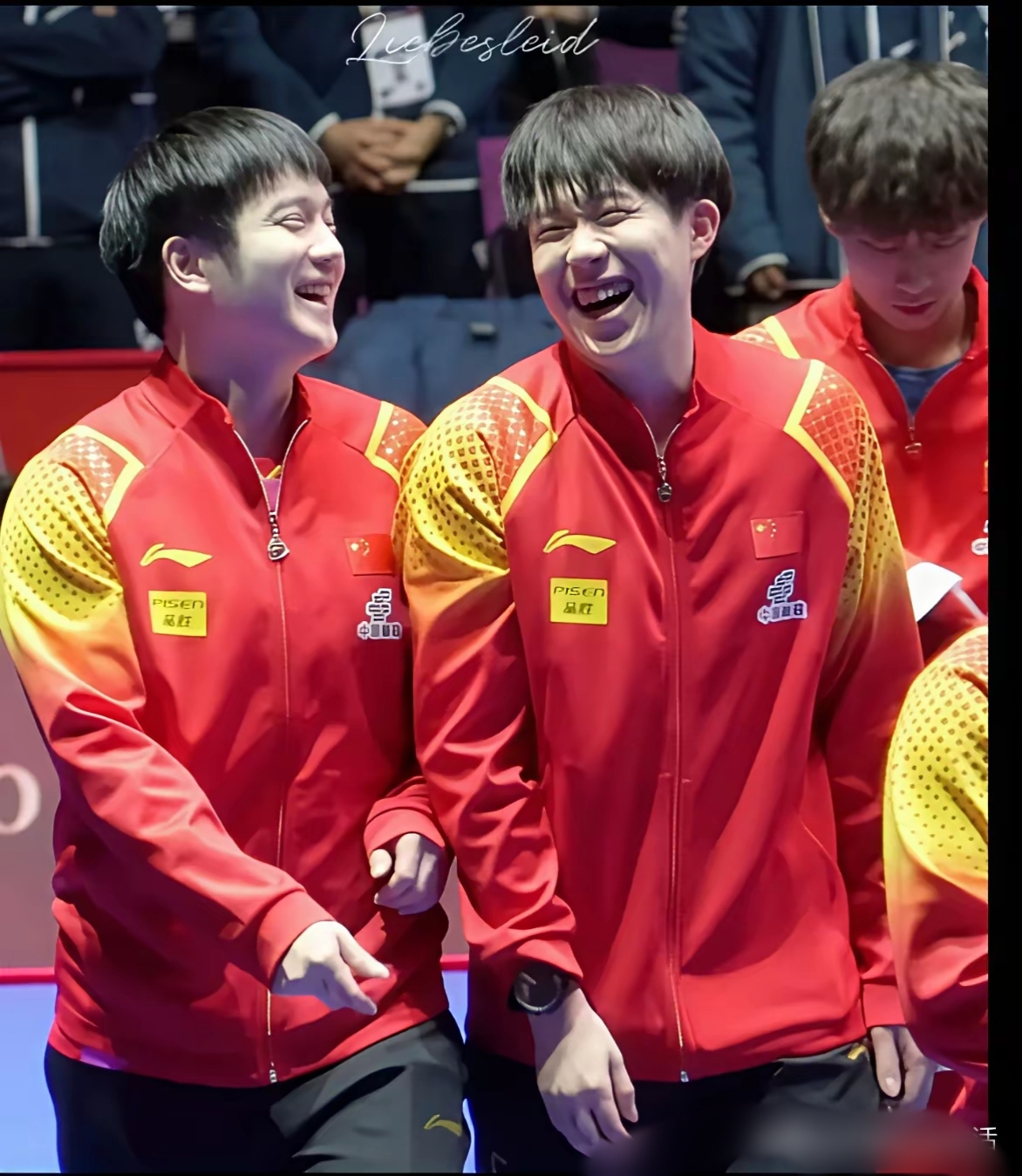 葡萄牙队绝杀中国队，樊振东带队取胜的简单介绍