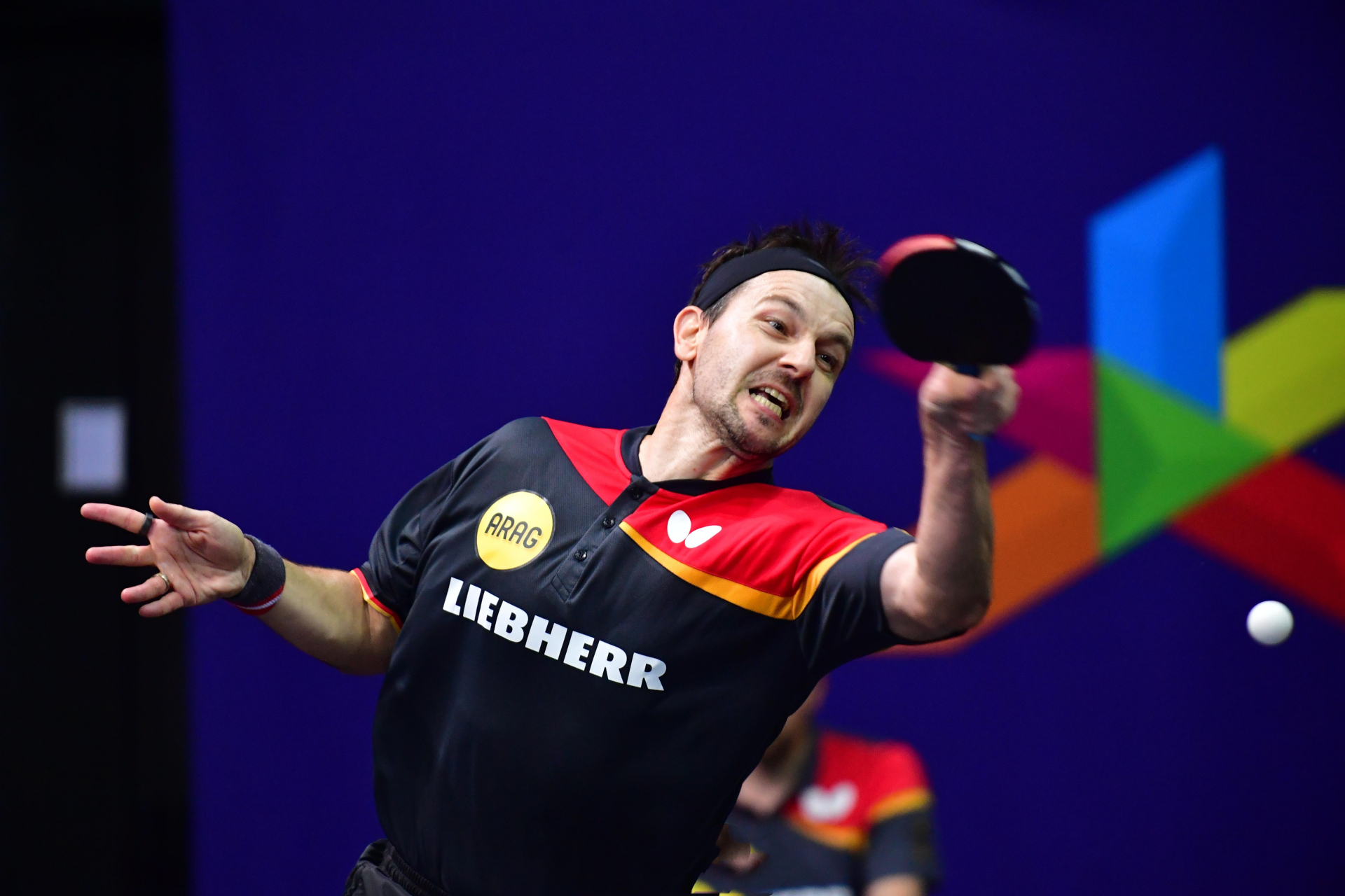 包含日本队逆转德国队，波尔惊艳四座的词条