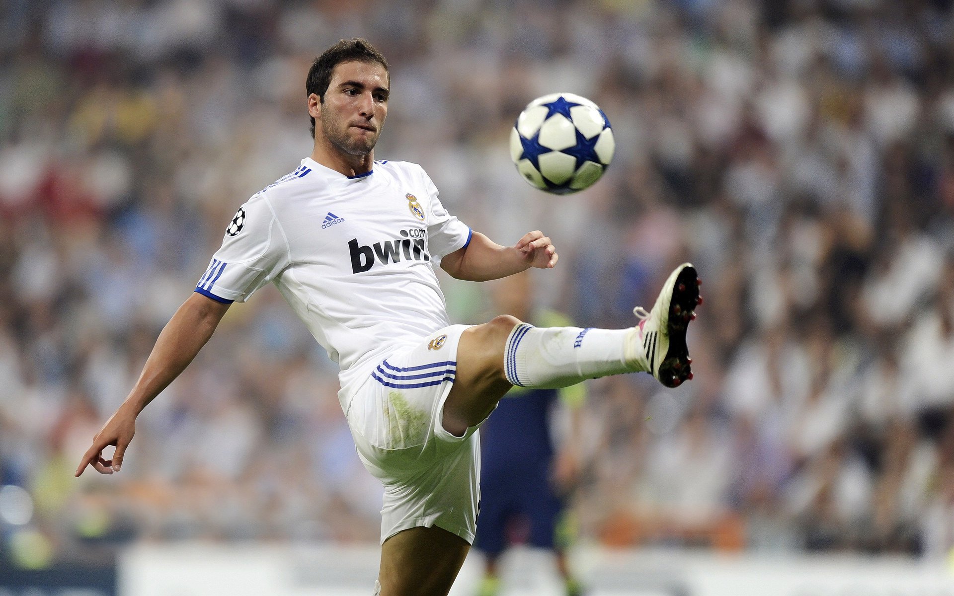 羊城鏖战，巨人觉醒，王哲林统治全场记